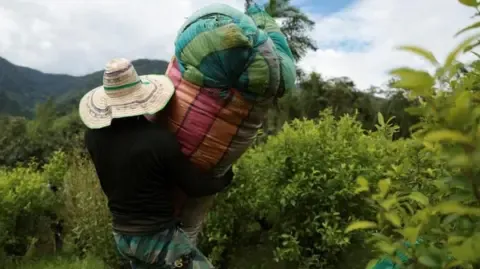 America Classifies the South American Nation as Non-Cooperative in Narcotics Battle